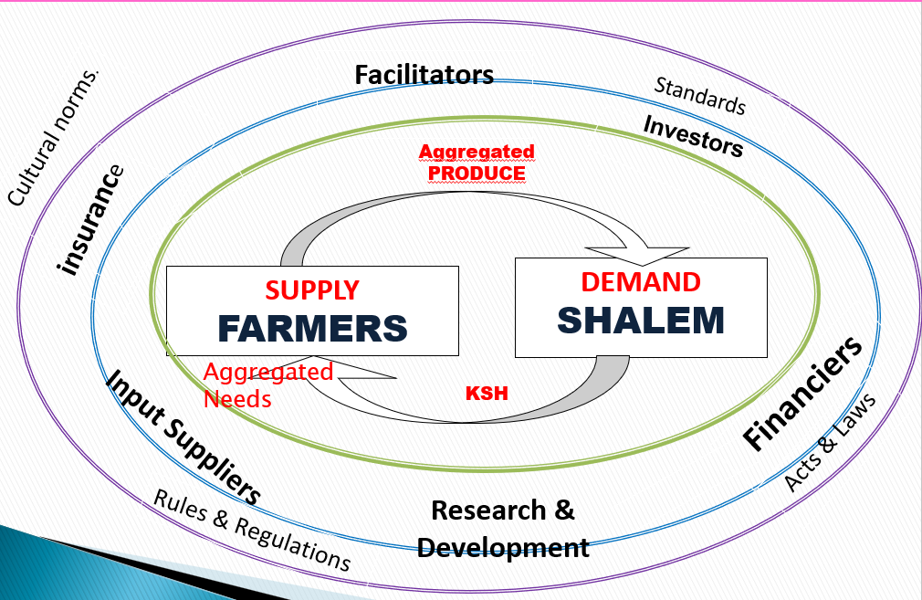 Shalem Investment Asili Products